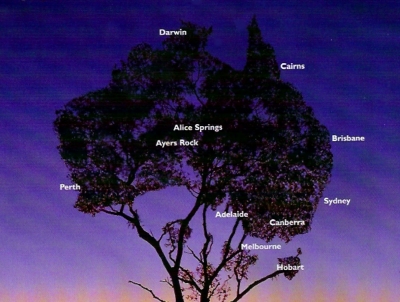 Quantas-Baum