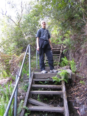 Treppe