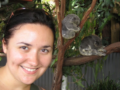 Koala
