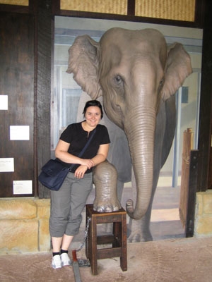 Elefant