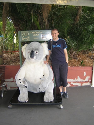 Kuschel-Koala